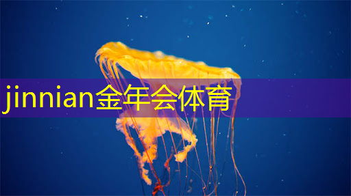 金年会 金字招牌信誉至上：ui游戏界面设计极简