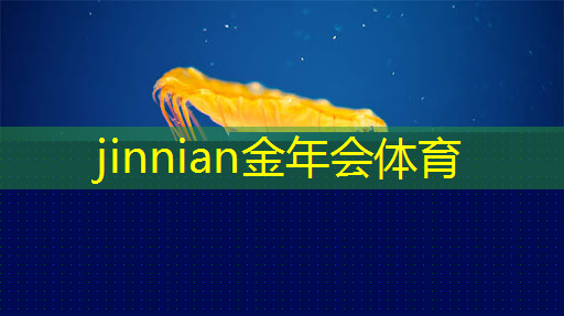 jinnian金年会：单手正经3d游戏推荐