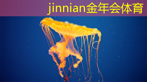 3d游戏休闲策略是什么