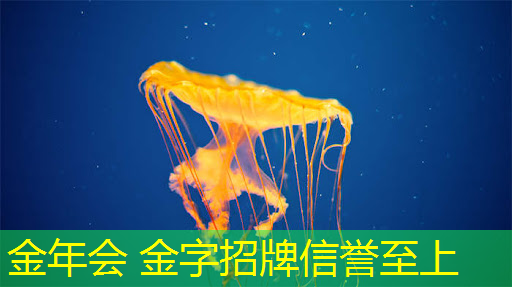 金年会首页：最便宜的游戏小程序是什么