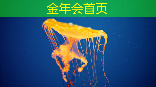 金年会 金字招牌信誉至上：元旦3d场景游戏怎么玩