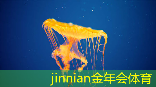 jinnian金年会：3d体验游戏多少钱一个