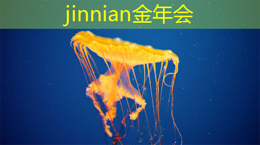 3d游戏休闲策略是什么