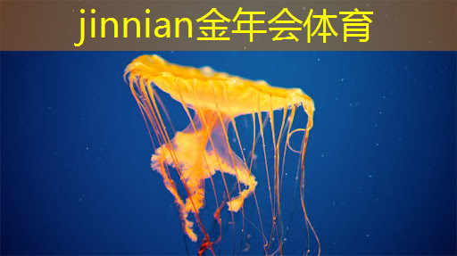 3d格斗经典推荐游戏