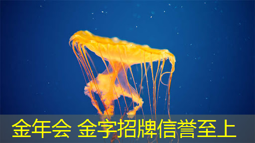 元旦3d场景游戏怎么玩