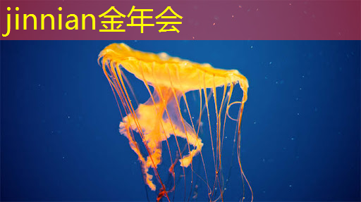 3d体验游戏多少钱一个
