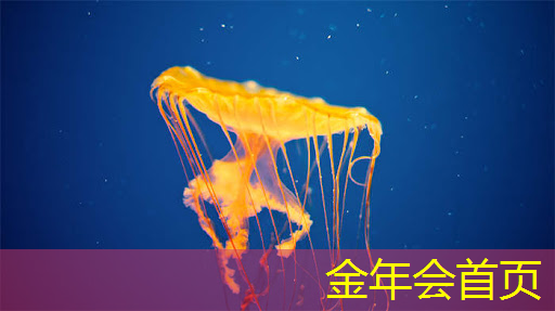 3d格斗游戏技能大全